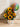 GIRASOLES ALEGRÍA