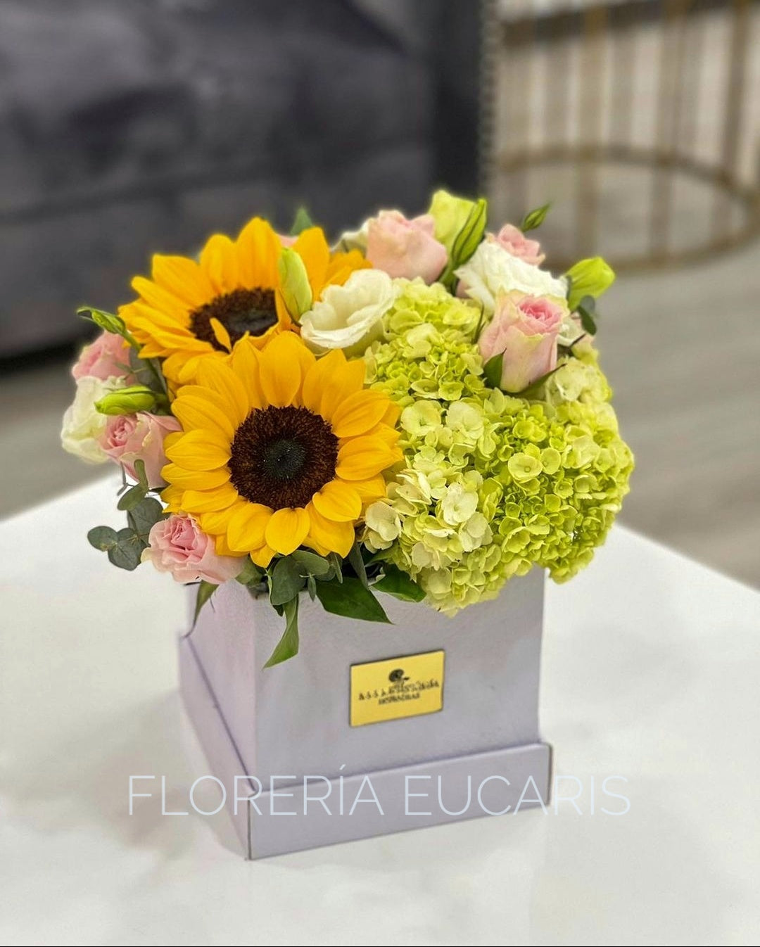 BOX "DALILA"