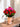 FLORERO "SERAFINA"