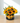 BOX DE GIRASOLES AURA