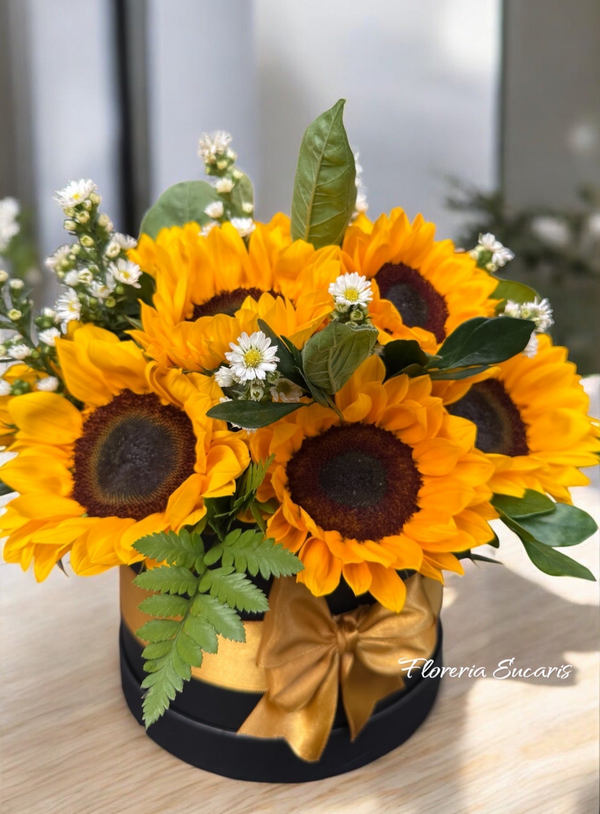 GIRASOLES