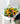 RAMO DE GIRASOLES Y ROSAS SOPHI