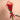 RAMO 12 ROSAS "ANITA"