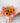 RAMO DE GIRASOLES FRANCIS