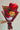 RAMO ROSAS Y BON O BON AIDA