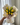 RAMO DE TULIPANES AMARILLOS “ELISE”