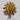 TRIPODE ESPECIAL COLORES VIBRANTES